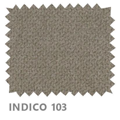 Indico 103